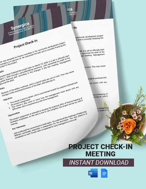 Project Check-in Meeting Template