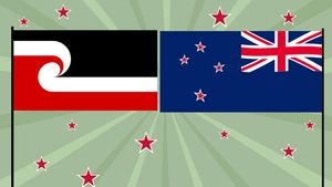 High Resolution Waitangi Day Background