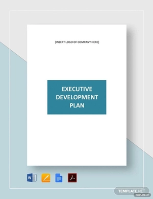 Executive Development Plan Template