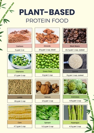 Plant Based Protein Food Chart Plant Based Protein Food Chart
