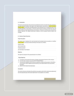 Business Execution Plan Template