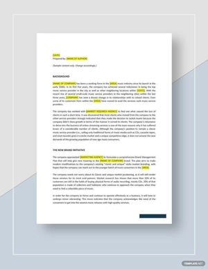 Brand Management Plan Template