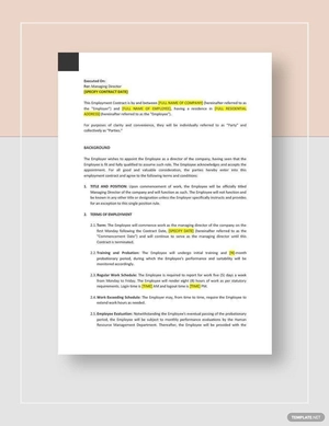 Director Employment Contract Template