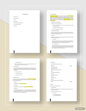 Insurance Agency Business Plan Template