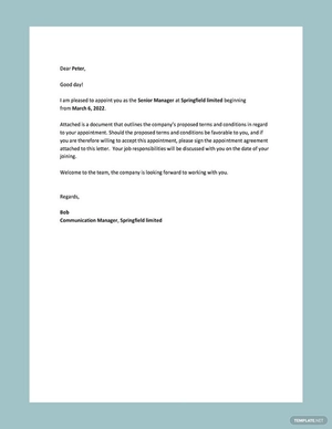 Appointment Letter Sample Template