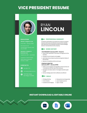 Vice President Resume