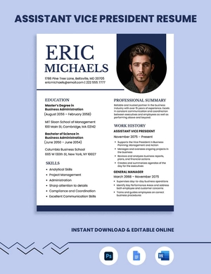 Assistant Vice President Resume