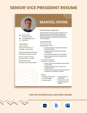Senior Vice President Resume