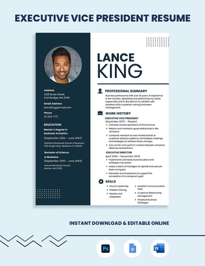 Executive Vice President Resume