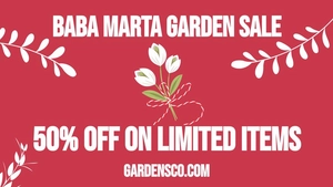 Baba Marta Flyer Background