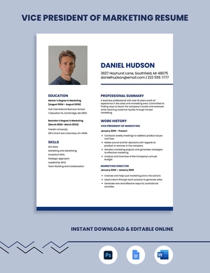 Vice President Of Marketing Resume