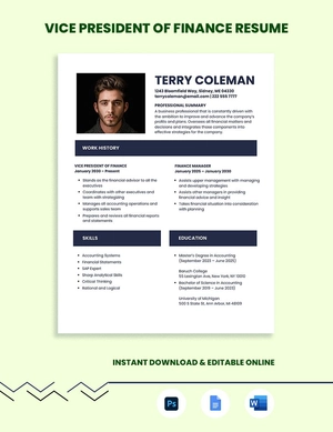 Vice President Of Finance Resume