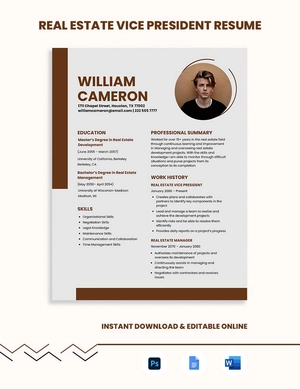 Real Estate Vice President Resume