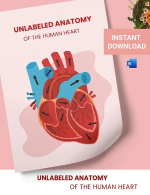 Blank Heart Diagram