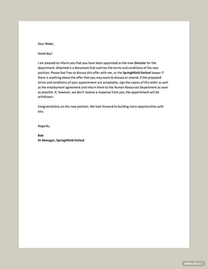 Director Appointment Letter Template