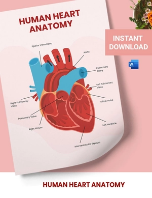 Heart Diagram