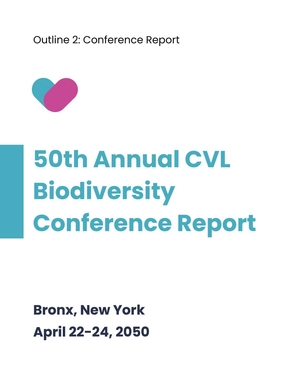 Post Conference Report