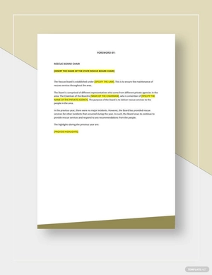 Board Rescue Report Template Board Rescue Report Template