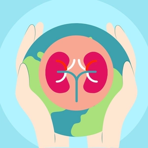 World Kidney Day Cartoon Vector