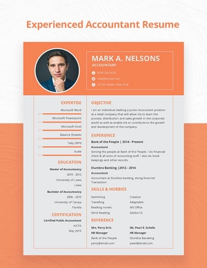 Experienced Accountant Resume Format