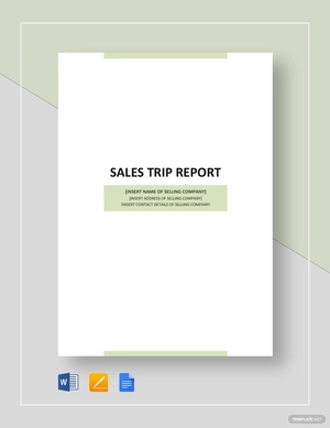 Sales Business Trip Report Template