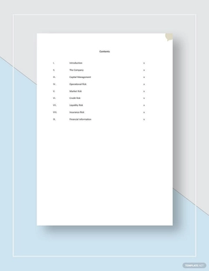 Risk Management Report Template