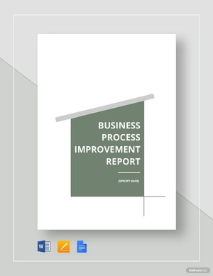 Business Process Improvement Report Template