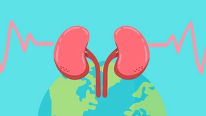 World Kidney Day Vector Background
