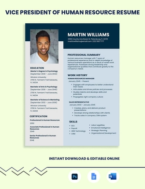 Vice President of Human Resource Resume
