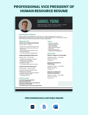 Professional Vice President of Human Resource Resume
