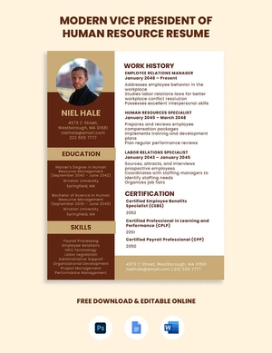 Modern Vice President of Human Resource Resume