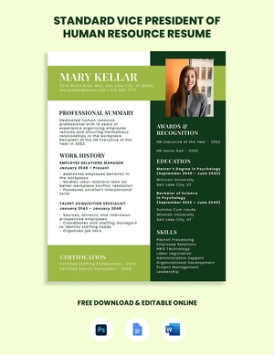 Standard Vice President of Human Resource Resume