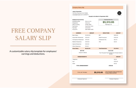 Company Salary Slip Template
