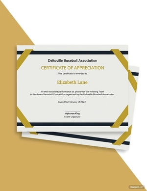 Modern Baseball Award Certificate Template