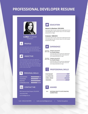 Professional Developer Resume