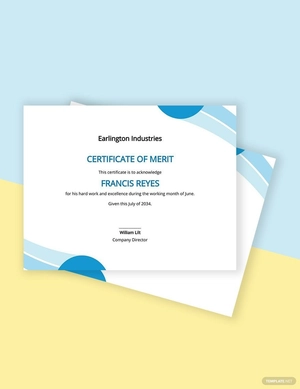 Certificate of Merit Template