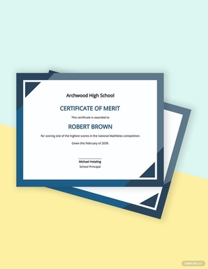 School Certificate of Merit Template