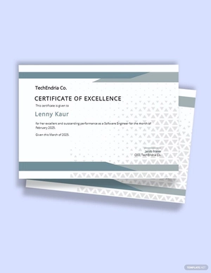 Simple Certificate of Excellence Template