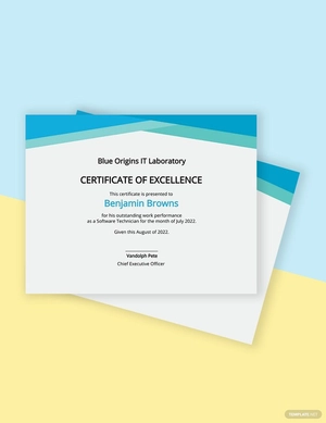 Work Certificate of Performance Template