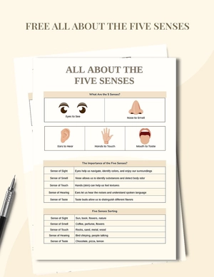 Five Senses Anchor Chart