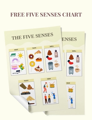 Five Senses Pocket Chart