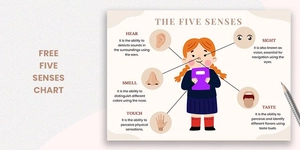 Five Senses Chart For Kindergarten