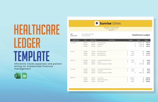 Healthcare Ledger Template