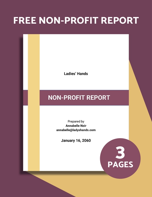 Non-Profit Report Template