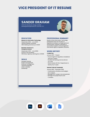 Vice President of IT Resume