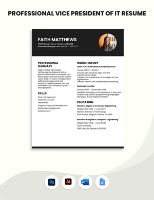 Professional Vice President of IT Resume