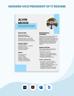 Modern Vice President of IT Resume