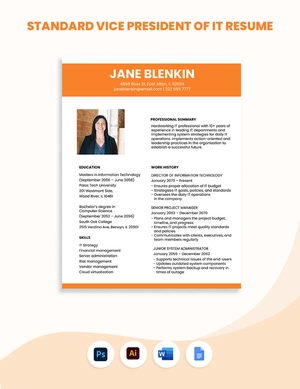Standard Vice President of IT Resume