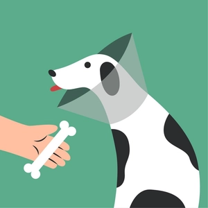 Pet Care Clipart