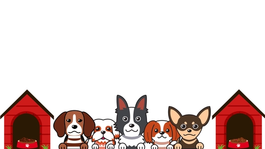 Pet Care Transparent Clipart